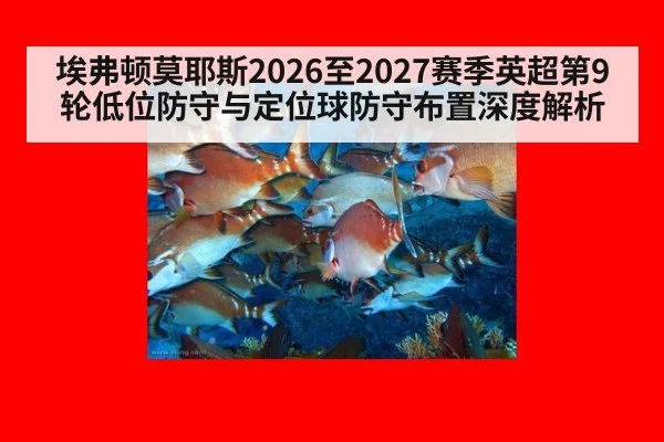 埃弗顿莫耶斯2026至2027赛季英超第9轮低位防守与定位球防守布置深度解析